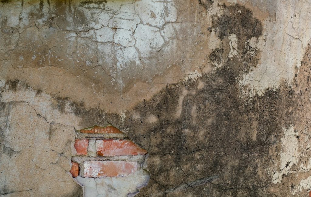 Selling a House with Mold: What Homeowners Need to Know